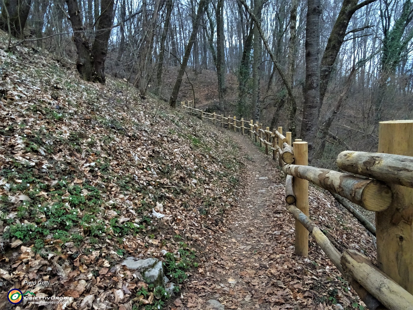 79 Da Poscante sul Sentiero delle castagne.JPG